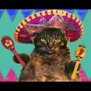 Meet your Posher, Cindi